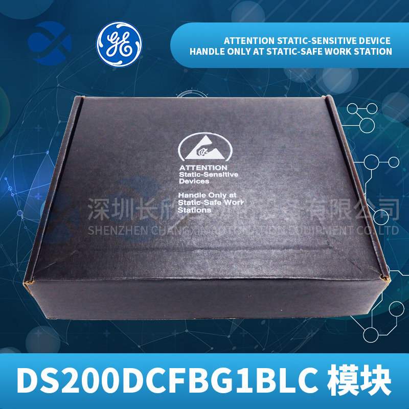 GE DS200DCFBG1BLC (6)