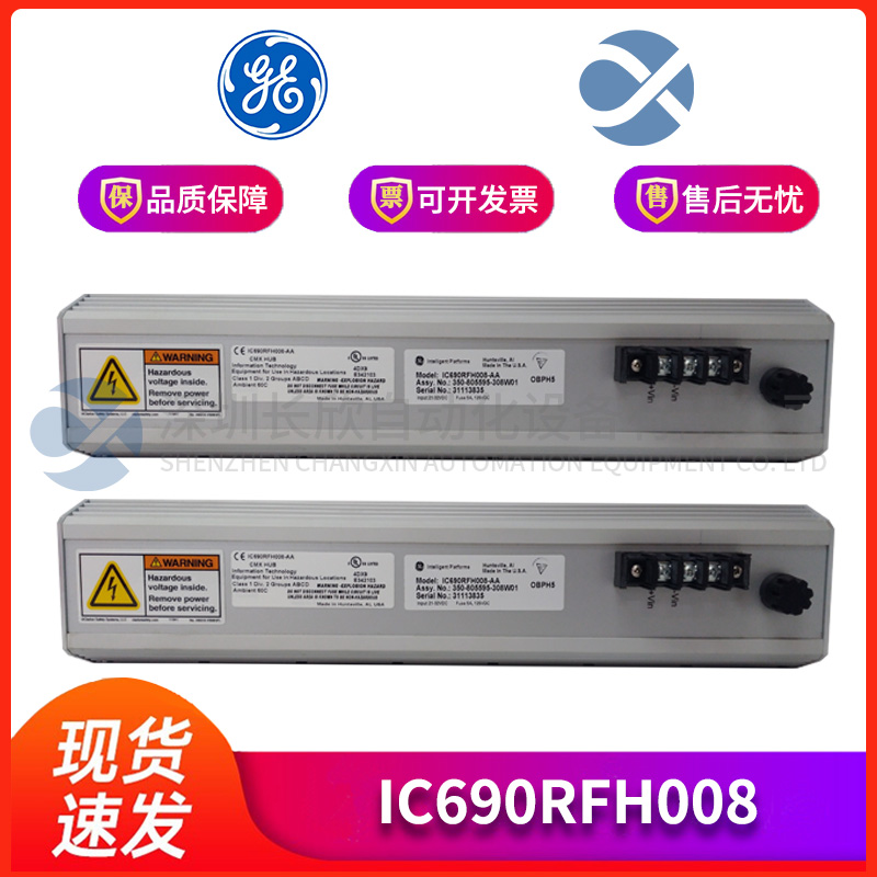 GE IC690RFH008 (3)