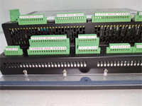 8200-1302 WOODWARD 4