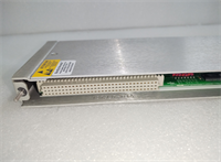 125720-01 BENTLY NEVADA 4