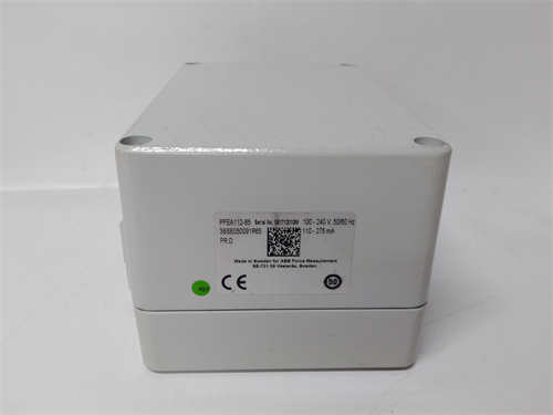 PFEA112-65 3BSE050091R65 (5)